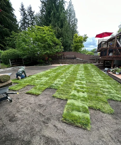 Installation of natural Grass, Retaining wall construction & Fire Pit in Lake Stevens 